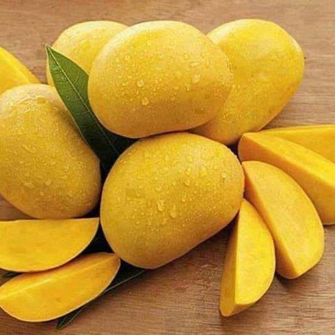 (انور رٹول آم) Premium Anwar Ratol Mango – Sweet, Aromatic & Export Quality Pakistani Mango