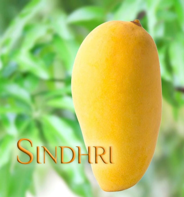 (سندھڑی آم)Premium Sindhri Mango – Sweet, Juicy & Export Quality Pakistani Mango