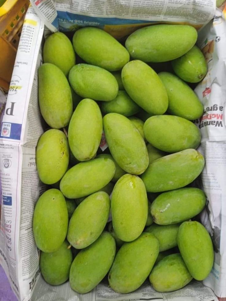 (دسہری آم)Premium Dussehri Mango – Sweet, Juicy & Export Quality Pakistani Mango (9kg)